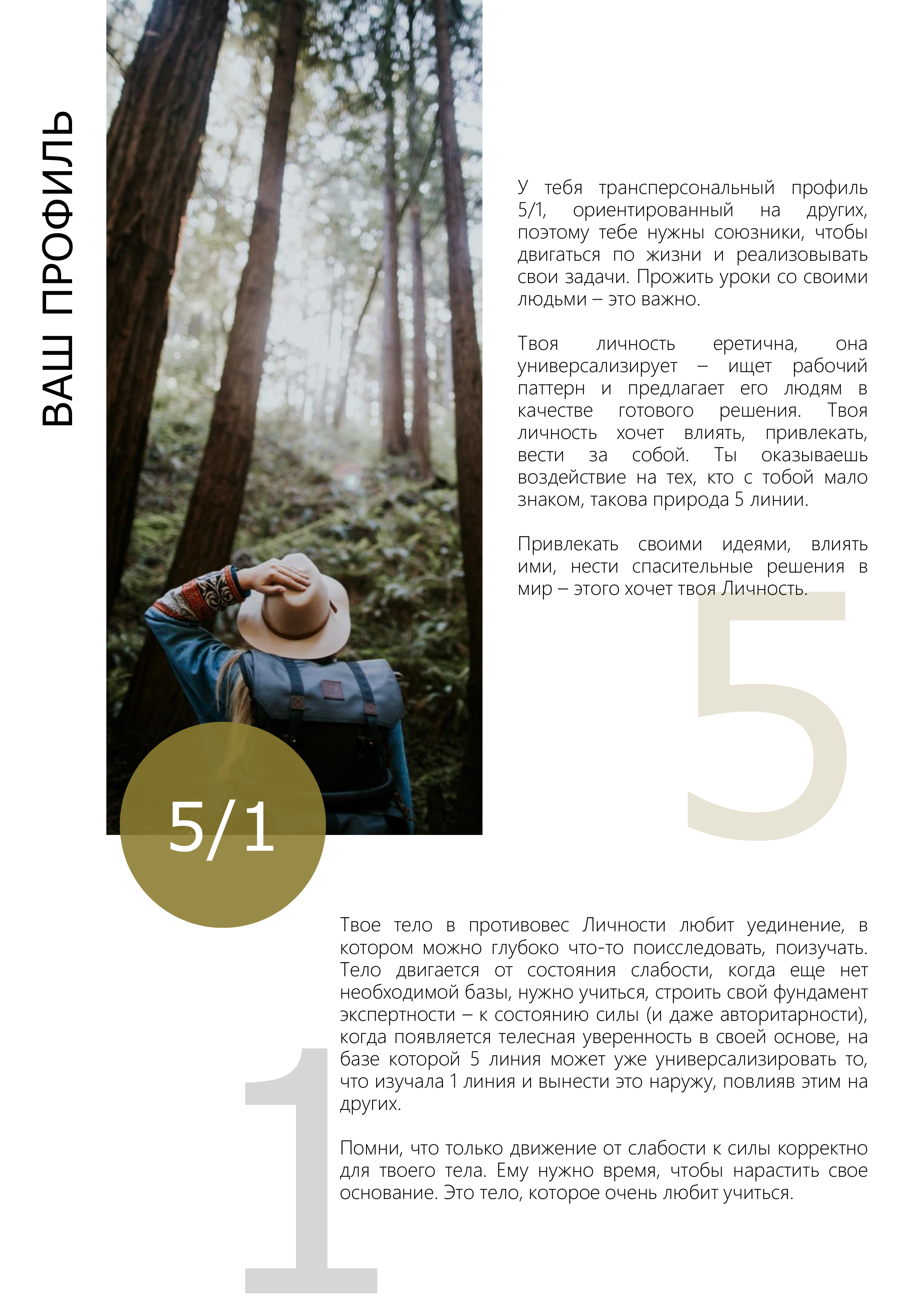 Страница разбора — ваш профиль